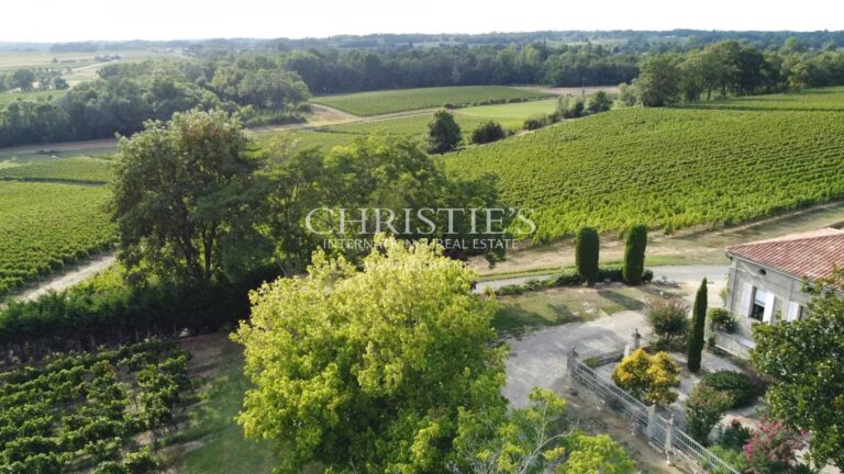 A vendre belle propriété de 18 ha avec une position dominante - Top terroir - A 35 mn de Bordeaux