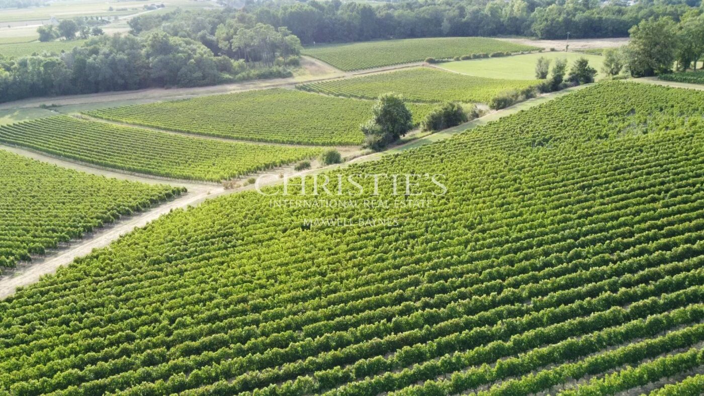 For sale beautiful 18-ha vinyard estate in a dominant position overlooking the vineyard valley. Just 35 min. from Bordeaux