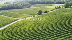 For sale beautiful 18-ha vinyard estate in a dominant position overlooking the vineyard valley. Just 35 min. from Bordeaux