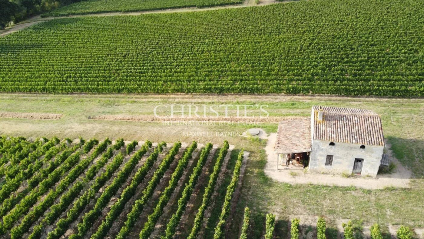 For sale beautiful 18-ha vinyard estate in a dominant position overlooking the vineyard valley. Just 35 min. from Bordeaux