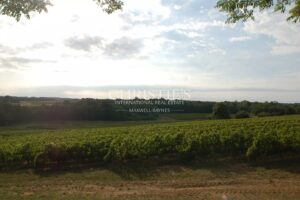 For sale beautiful 18-ha vinyard estate in a dominant position overlooking the vineyard valley. Just 35 min. from Bordeaux