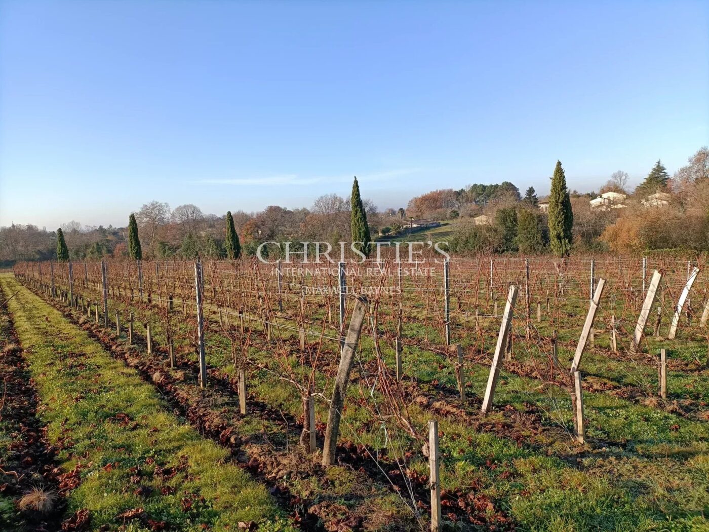 出售 6.86 公顷小型葡萄园,农场建筑状况良好