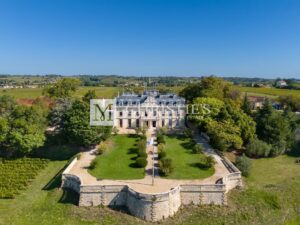 Beautiful vineyard with 19th-C. château overlooking the river for sale - Ideal for a wine tourism project
