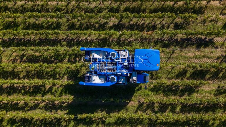A vendre belle propriété viticole bordelaise, clé en main avec une résidence de construction récente