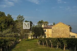 A vendre beau domaine viticole clé en main sur les rives de la Dordogne à proximité de Saint-Emilion