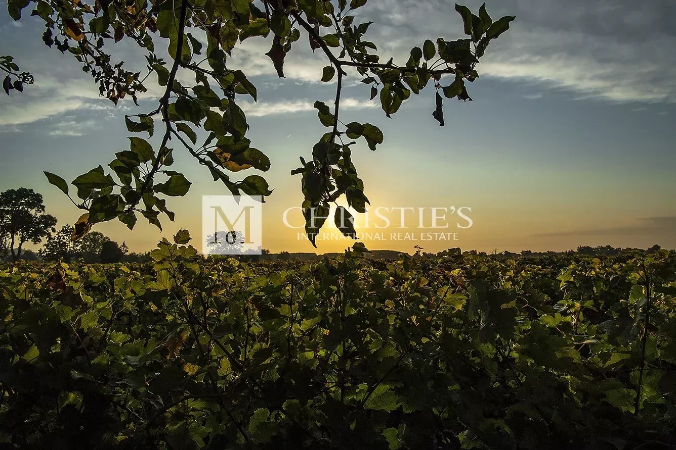 A vendre beau domaine viticole clé en main sur les rives de la Dordogne à proximité de Saint-Emilion
