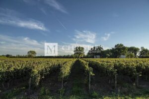 For sale beautiful turnkey lifestyle passion vineyard estate on the banks of the Dordogne River close to Saint-Emilion