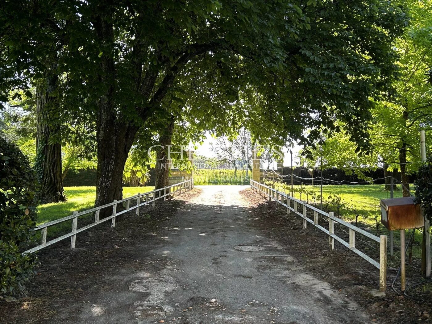 Domaine viticole avec une belle superficie, une demeure de charme et un gîte