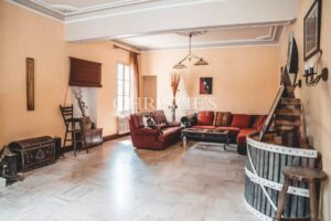 Domaine viticole avec une belle superficie, une demeure de charme et un gîte