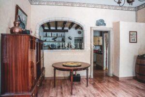 Domaine viticole avec une belle superficie, une demeure de charme et un gîte