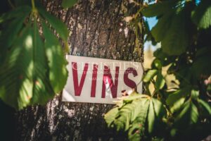 Domaine viticole avec une belle superficie, une demeure de charme et un gîte