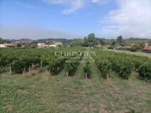 A vendre propriété de 12 hectares de vigne - Maison à rénover