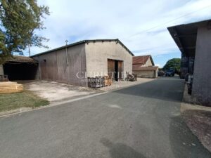 A vendre propriété de 12 hectares de vigne - Maison à rénover