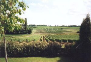 A vendre charmante propriété de 7 ha environ près de Saint-Emilion