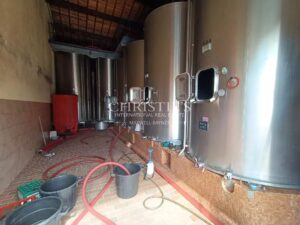 出售带有待翻修住宅的12公顷葡萄园地产