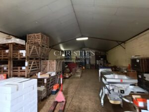 出售带有待翻修住宅的12公顷葡萄园地产