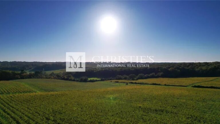 For sale an attractive vineyard estate of about 36ha near Bordeaux