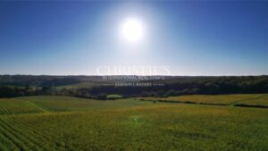 For sale an attractive vineyard estate of about 36ha near Bordeaux