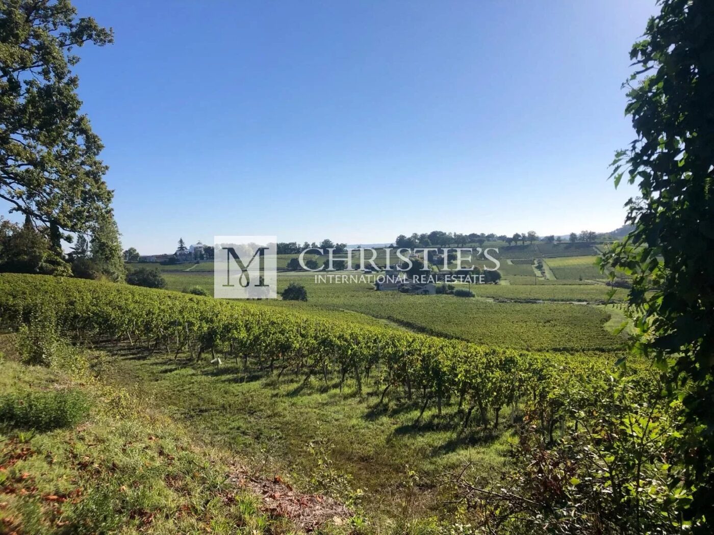 For sale family vineyard estate of 9,5ha near Libourne