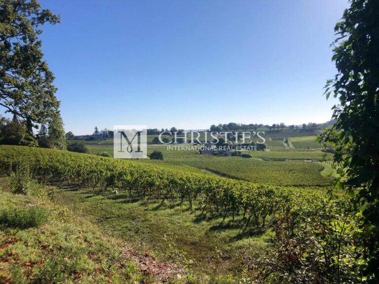 A vendre Propriété viticole familiale de 9,5 ha en Libournais