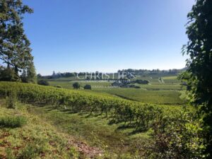 A vendre Propriété viticole familiale de 9,5 ha en Libournais