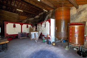 Charmante propriété viticole de 10 hectares avec 2 maisons - AOC Castillon Côtes de Bordeaux