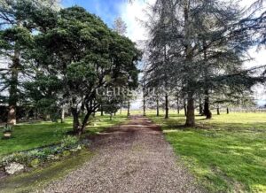 Charmante propriété viticole de 10 hectares avec 2 maisons - AOC Castillon Côtes de Bordeaux