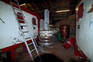 吸引人的 10 公顷葡萄园庄园,配有两栋房屋