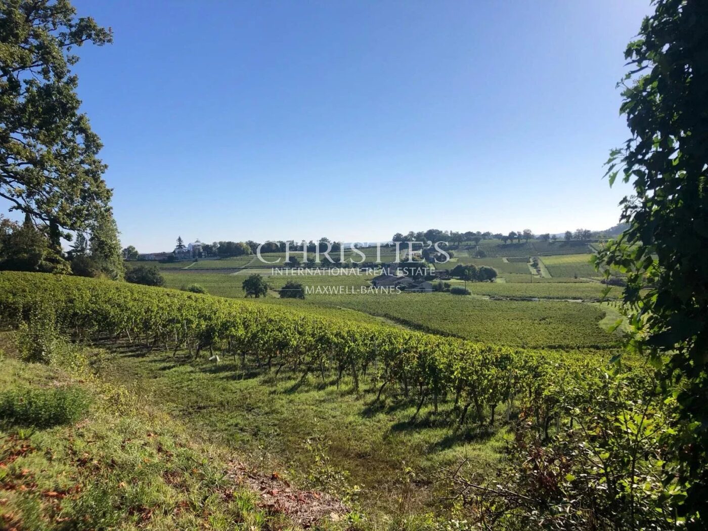 出售位于利布尔讷附近的9.5公顷家庭葡萄园庄园