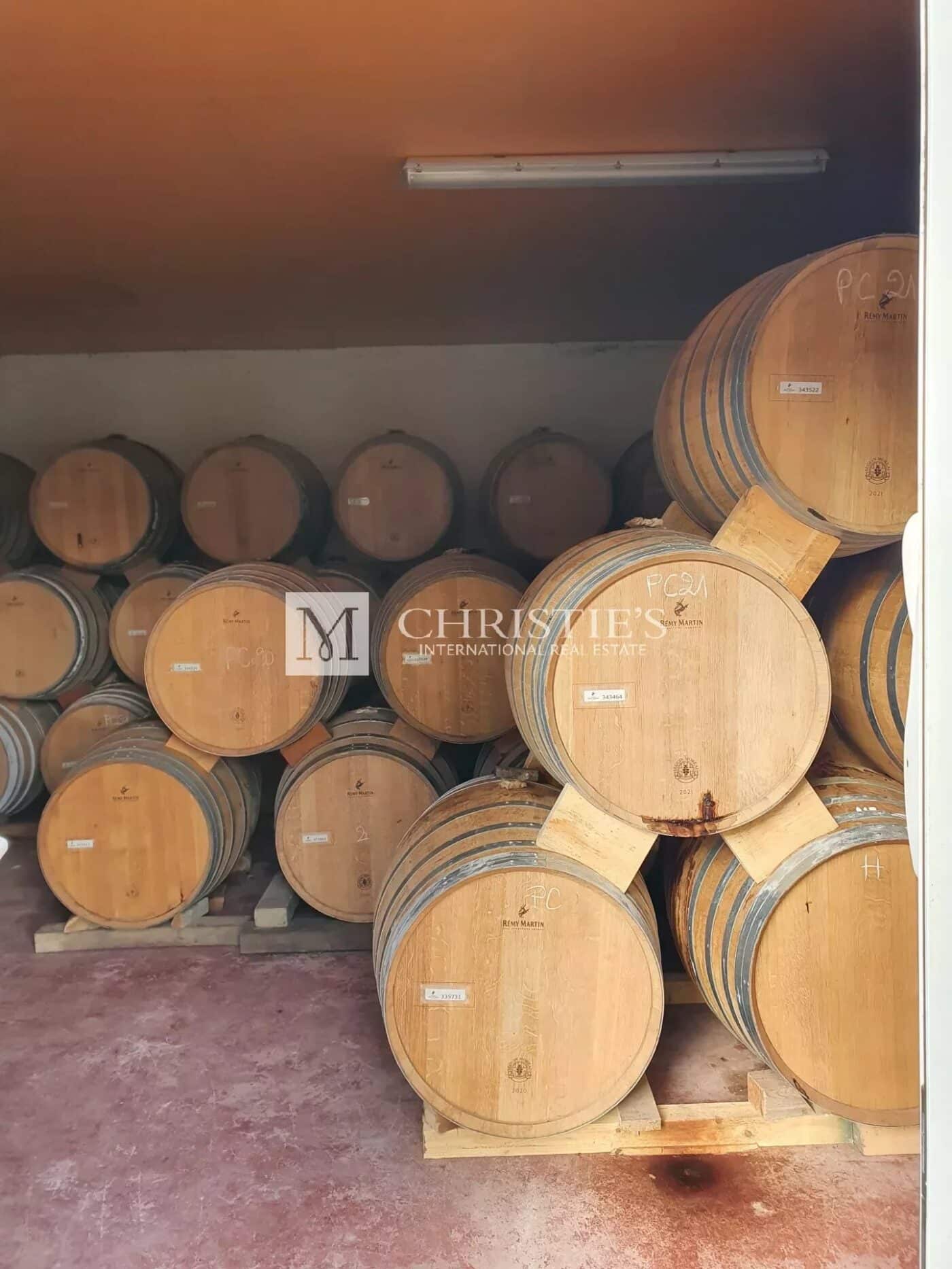 Belle propriété viticole dans le Cognaçais