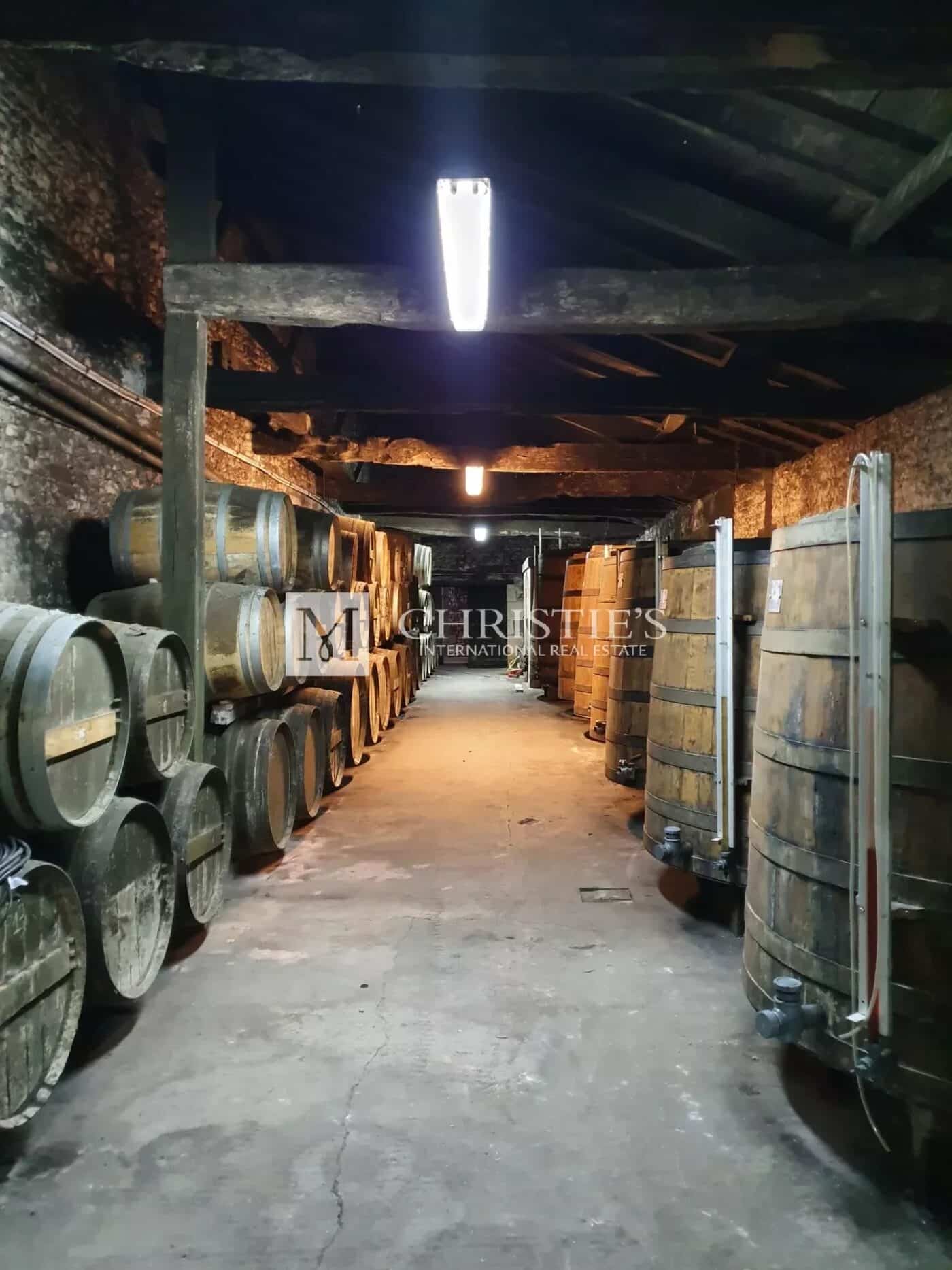 Belle propriété viticole dans le Cognaçais