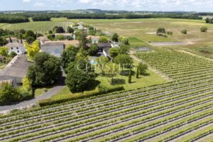 Attractive Cognac property for sale