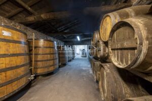 Attractive Cognac property for sale