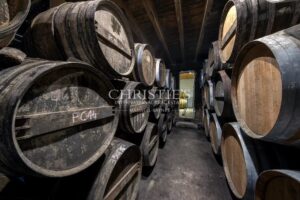 Attractive Cognac property for sale