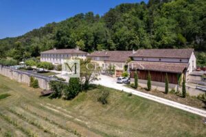 For sale hobby vineyard close to Bordeaux