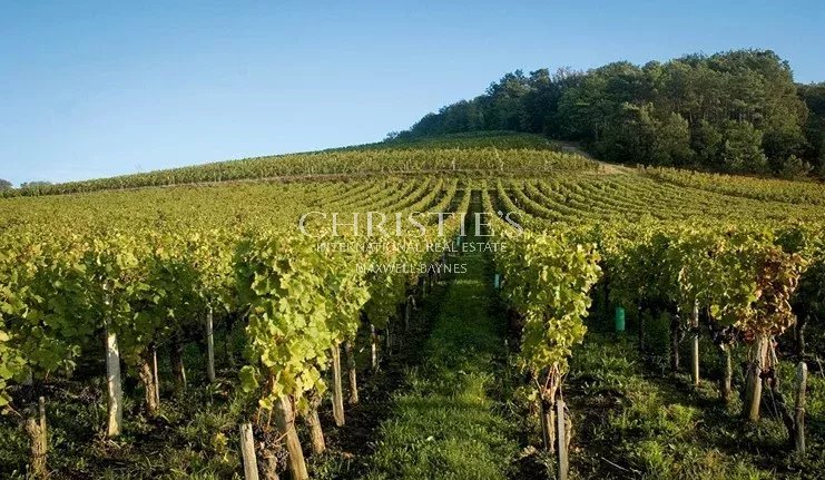 A vendre 13ha d'un seul tenant en AOC Saint-Emilion Grand Cru