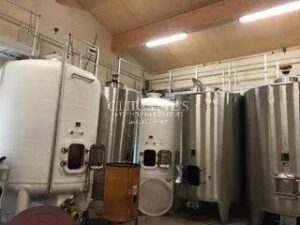 出售位于圣埃美隆附近的家族酒庄地产