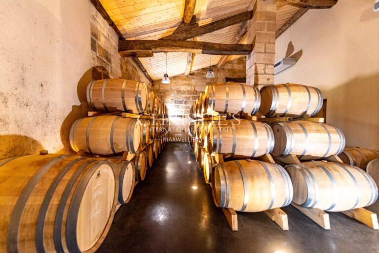 Turnkey vineyard of 5.5 ha for sale in Pomerol