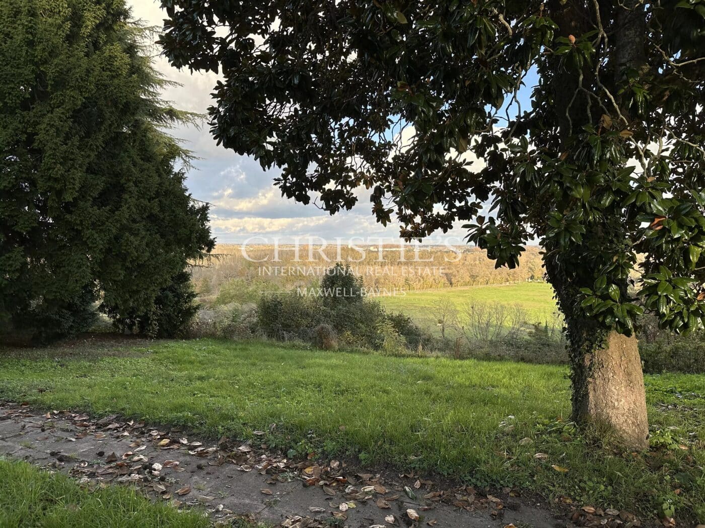 Domaine viticole au coeur de l'appellation Fronsac : Charme et Authenticité