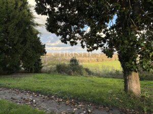 Domaine viticole au coeur de l'appellation Fronsac : Charme et Authenticité