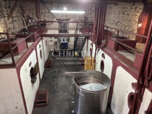 Domaine viticole au coeur de l'appellation Fronsac : Charme et Authenticité