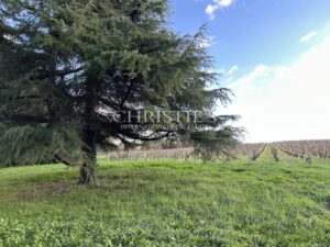 Domaine viticole au coeur de l'appellation Fronsac : Charme et Authenticité