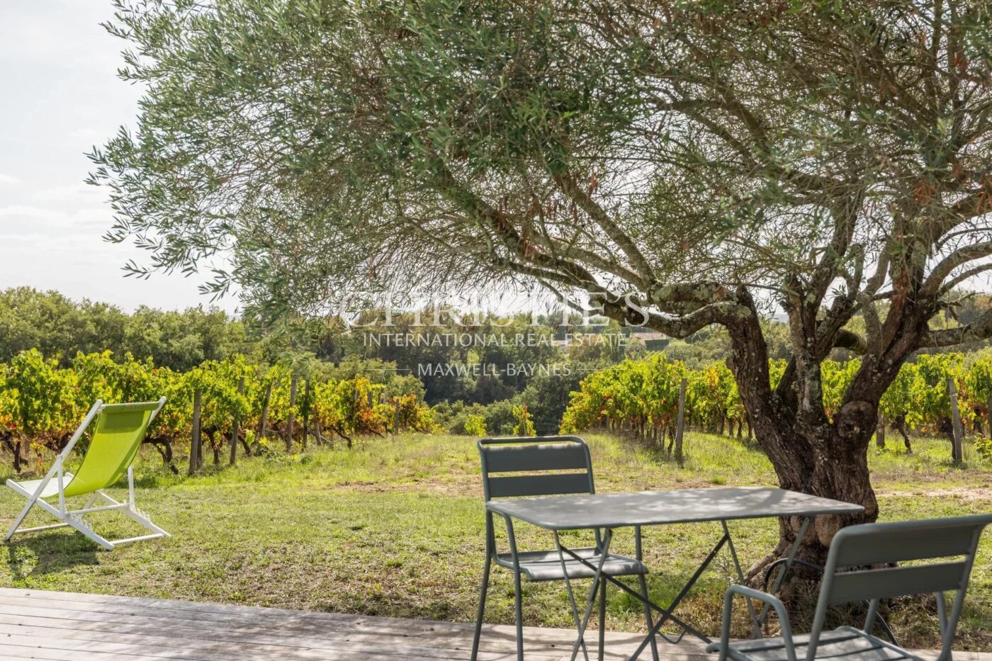 Sublime propriété viticole de 3.21 ha près de Bordeaux - Clé en main !