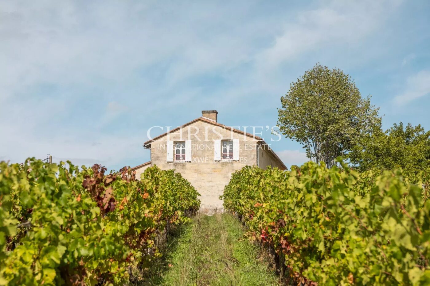 Sublime propriété viticole de 3.21 ha près de Bordeaux - Clé en main !