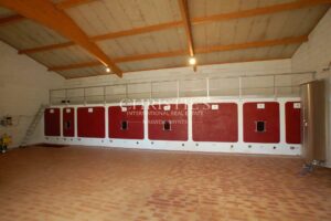 Lovely 3-hectare hobby vineyard - 1.75 ha of vines in AOC Côtes de Bordeaux