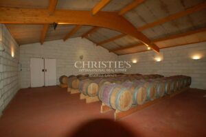 Lovely 3-hectare hobby vineyard - 1.75 ha of vines in AOC Côtes de Bordeaux