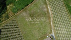 Lovely 3-hectare hobby vineyard - 1.75 ha of vines in AOC Côtes de Bordeaux