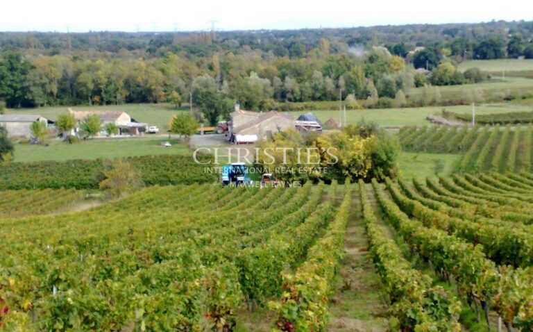 Vignoble familial à vendre : 13,5 hectares au Cœur du Libournais