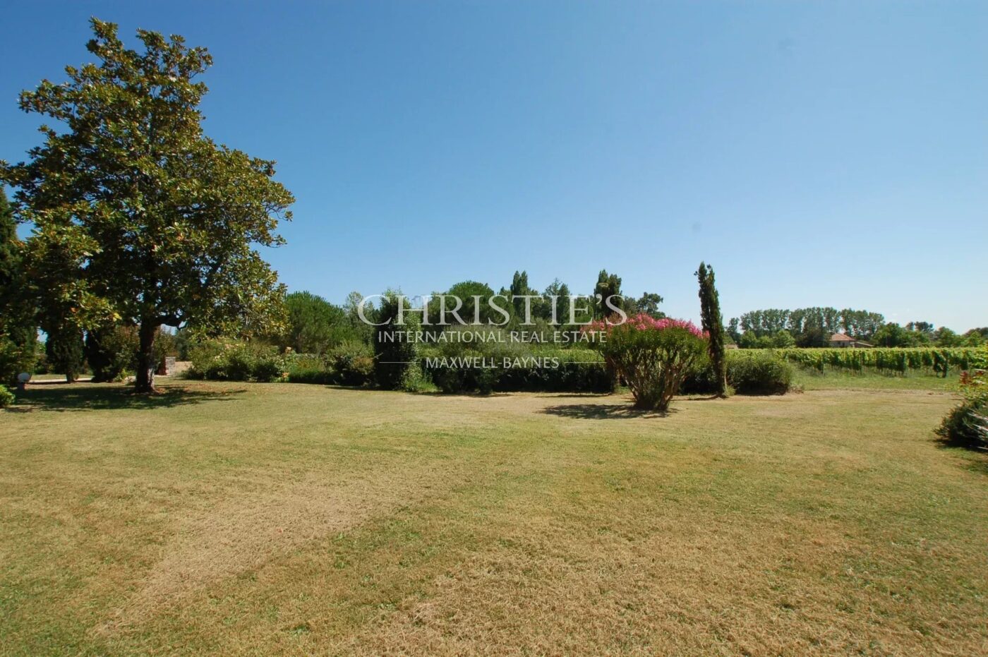 Charmante propriété viticole - 33 ha de terre - 19 ha de vigne en AB - magnifique site