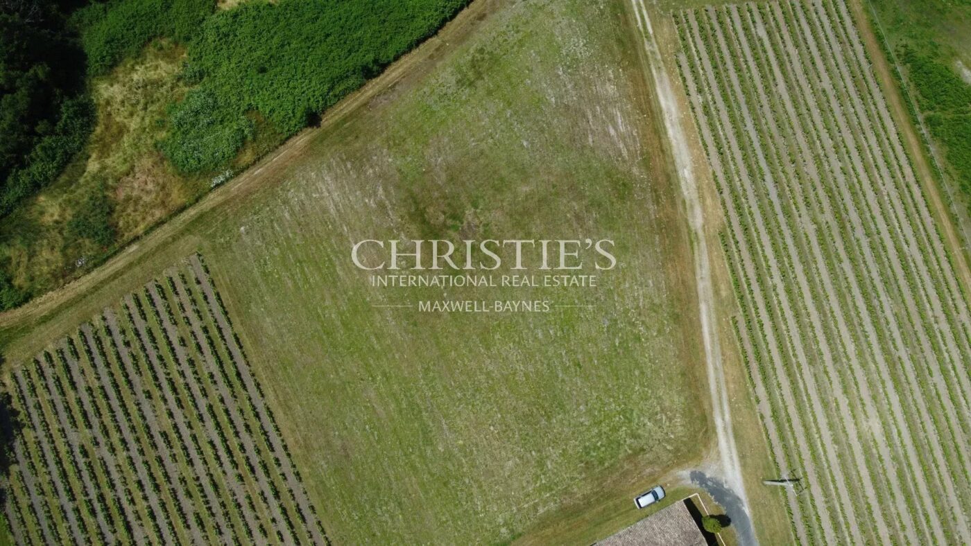 占地 3 公顷的迷人葡萄园 - 1.75 公顷葡萄园位于AOC波尔多坡地 产区